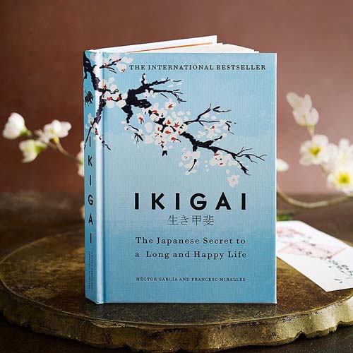 The Book Bloom