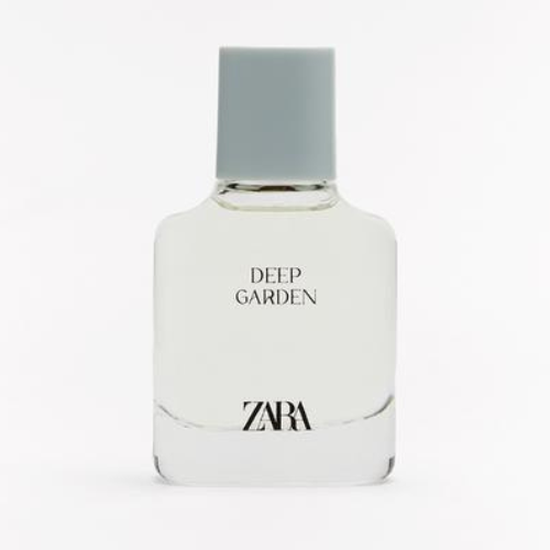 zara perfume women