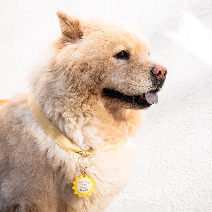 Fur-ever Valentine Dog Keychain