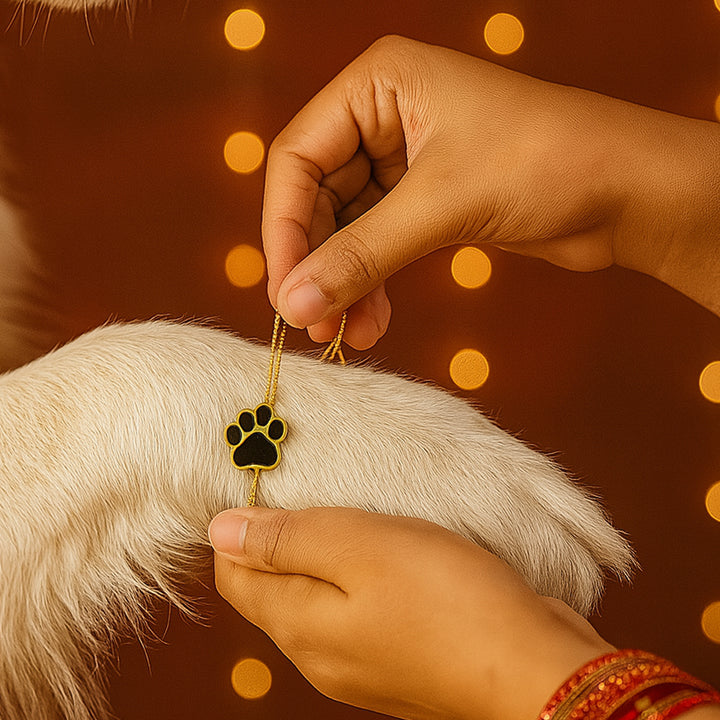 Cute Paw Rakhi for Your Furry Pet