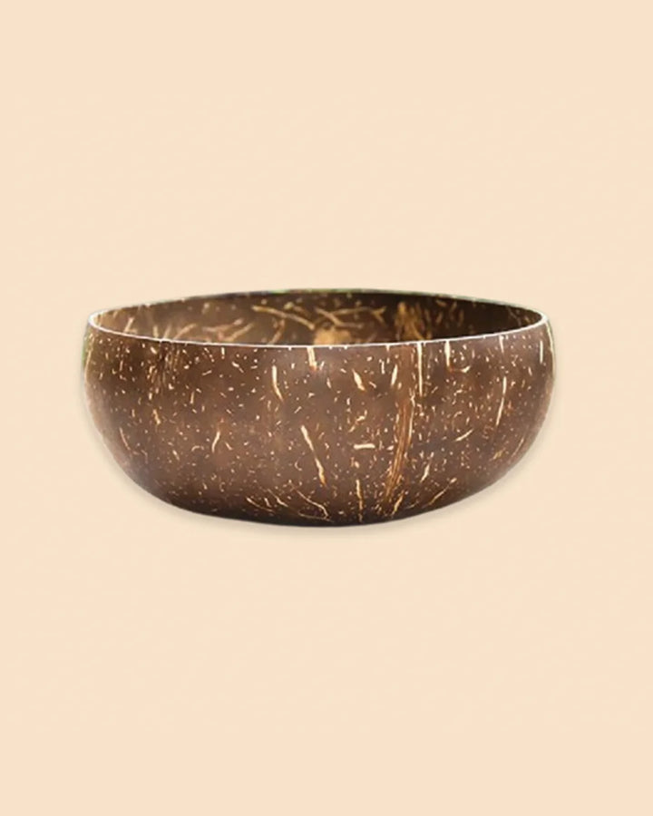 Coconut Shell Bowl