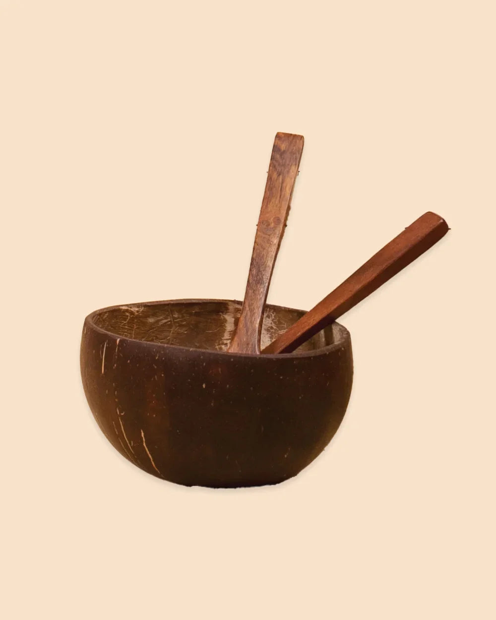 Coconut Shell Bowl