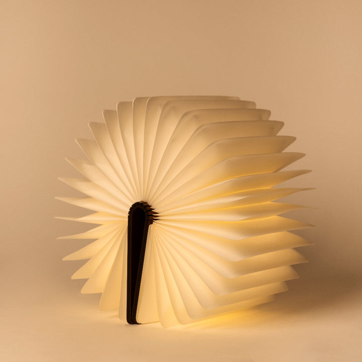 Glow Book Lamp