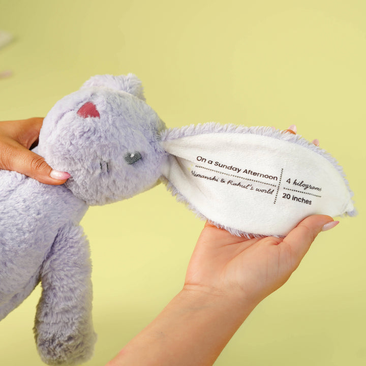 Custom Teddy Bear