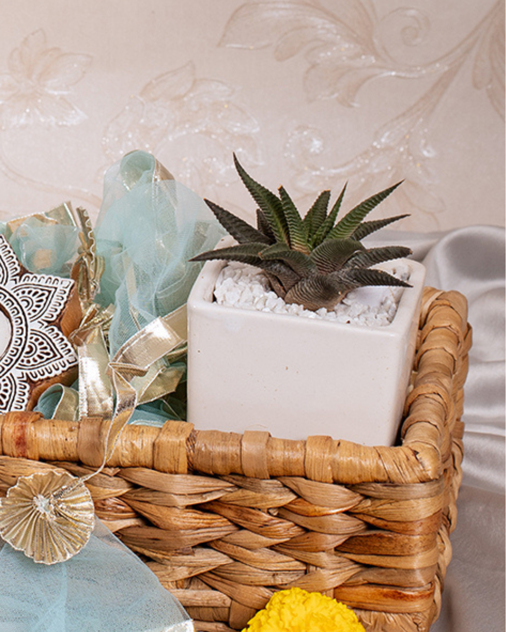 White Ceramic Planter With Live Succulent Plant