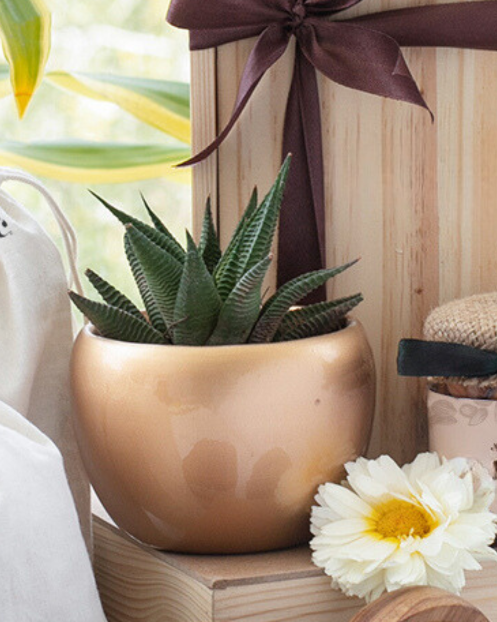 Copper Planter With Succulent Plant